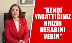 CHP'li Ayşe Özdemir'den AK Parti Aydın’a sert eleştiri