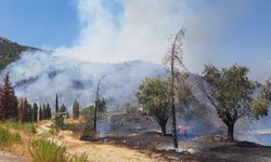 Selçuk'taki ormanlık alanda çıkan yangına müdahale ediliyor