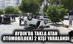 Aydın’da takla atan otomobildeki 2 kişi yaralandı