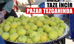 Aydın’da taze incir pazar tezgahında