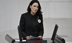 Milletvekili Sarıbaş Meclis'te konuştu