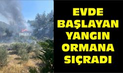 Evde başlayan yangın ormana sıçradı