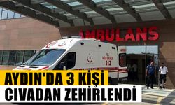 Aydın'da 3 kişi cıvadan zehirlendi