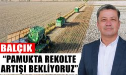 Balçık: “Pamukta rekolte artışı bekliyoruz”