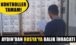 Kontroller tamam! Aydın'dan Rusya'ya balık ihracatı