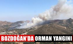 Bozdoğan’da orman yangını