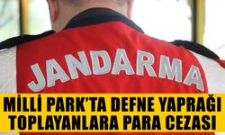 Milli Park’ta defne yaprağı toplayanlara para cezası