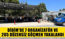 Didim'de 7 organizatör ve 205 düzensiz göçmen yakalandı