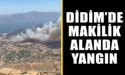 Didim’de makilik alanda yangın