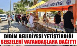 Didim Belediyesi yetiştirdiği sebzeleri vatandaşlara dağıttı