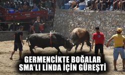 Germencik’te boğalar SMA’lı Linda için güreşti