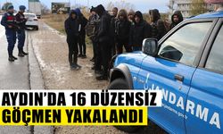 Aydın’da 16 düzensiz göçmen yakalandı