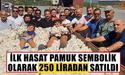 Söke'de pamuk hasadı başladı