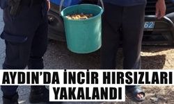 Aydın’da incir hırsızları yakalandı