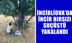 İncirliova’da incir hırsızı suçüstü yakalandı