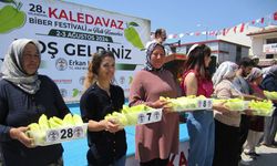 Kale'de biber yarışması yapıldı