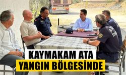 Kaymakam Ata yangın bölgesinde