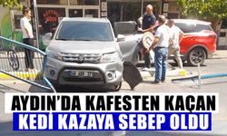 Aydın’da kafesten kaçan kedi kazaya sebep oldu