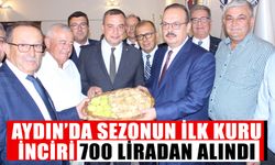 Aydın’da sezonun ilk inciri 700 liradan alındı