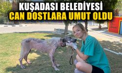 Kuşadası Belediyesi can dostlara umut oldu