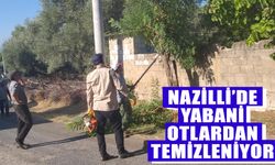 Nazilli, yabani otlardan temizleniyor