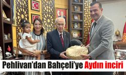 Pehlivan’dan Bahçeli’ye Aydın inciri