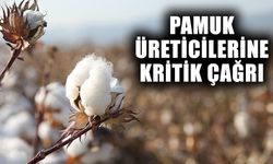 Pamuk üreticilerine kritik çağrı