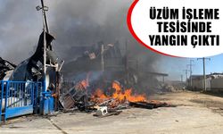 Üzüm işleme tesisinde yangın çıktı