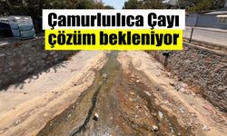 Germencik’teki Çamurluılıca Çayı çözüm bekliyor