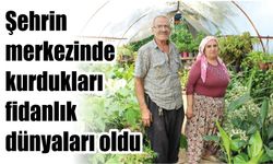 Şehrin merkezinde kurdukları fidanlık, dünyaları oldu