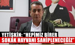 Yetişkin: “Hepimiz birer sokak hayvanı sahipleneceğiz”