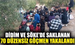 Didim ve Söke'de saklanan 70 düzensiz göçmen yakalandı