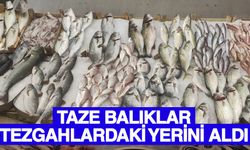 Nazilli’de balık sezonu açıldı