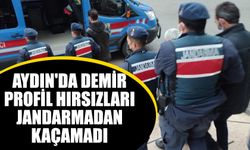 Aydın'da demir profil hırsızları jandarmadan kaçamadı