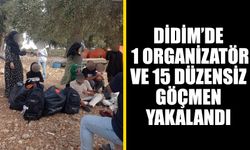 Didim’de 1 organizatör ve 15 düzensiz göçmen yakalandı