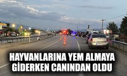 Hayvanlarına yem almaya giderken canından oldu