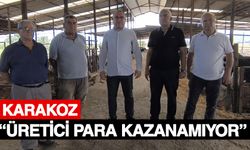 Karakoz: “Üretici para kazanamıyor”