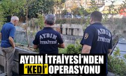 Aydın İtfaiyesi’nden ‘kedi’ operasyonu