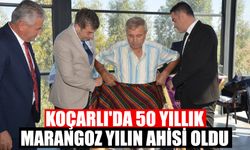 Koçarlı'da 50 yıllık marangoz yılın ahisi oldu