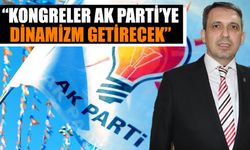 “Kongreler AK Parti’ye dinamizm getirecek”