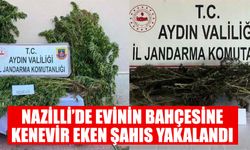 Nazilli’de evinin bahçesine kenevir eken şahıs yakalandı