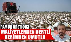 Pamuk üreticisi maliyetlerden dertli, verimden umutlu