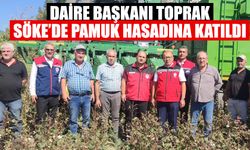 Daire Başkanı Toprak, Söke’de pamuk hasadına katıldı