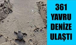 361 yavru denize ulaştı