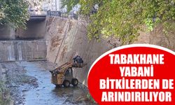 Tabakhane, yabani bitkilerden de arındırılıyor