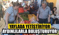 Yaylada yetiştiriyor, Aydınlılarla buluşturuyor