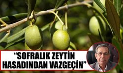 Başkan Özdamar zeytin üreticilerini uyardı