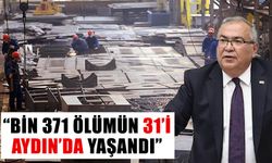 Bülbül: “Bin 371 ölümün 31’i Aydın’da yaşandı”