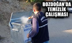 Bozdoğan’da temizlik çalışması