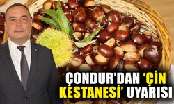 Çondur’dan ‘Çin kestanesi’ uyarısı